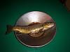 Gather Around Fishermen-picture-015.jpg