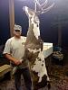 Calico Buck-image001.jpg