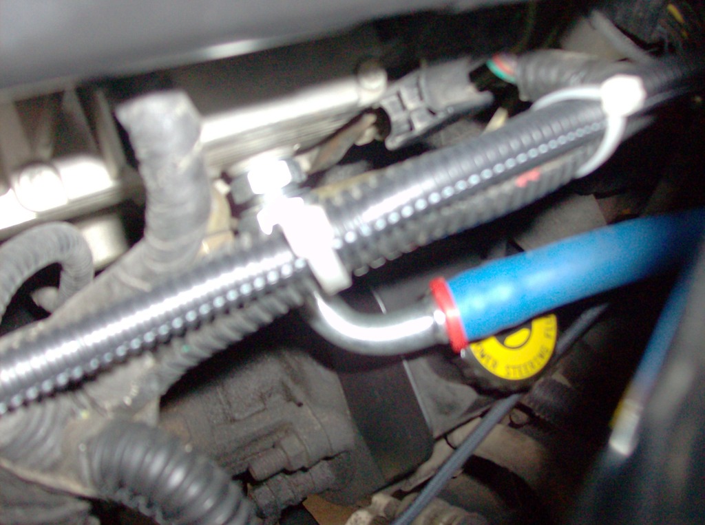 Name:  family%20pics%20161_zpst4oqy9o1.jpg
Views: 15367
Size:  176.8 KB