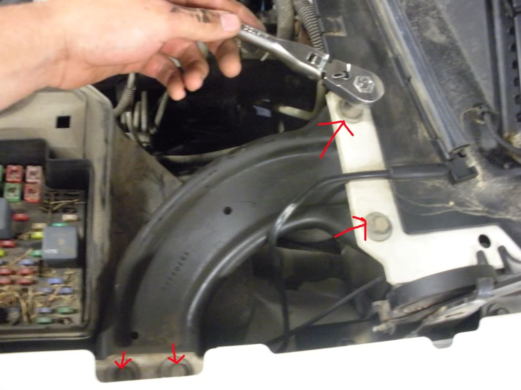 Name: DSCN1217.jpg
Views: 2991
Size: 76.9 KB