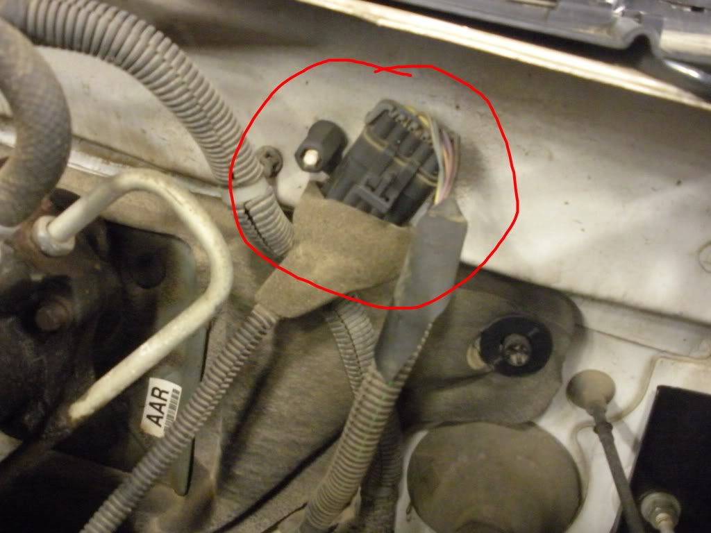 Name: DSCN1235.jpg
Views: 5054
Size: 80.7 KB