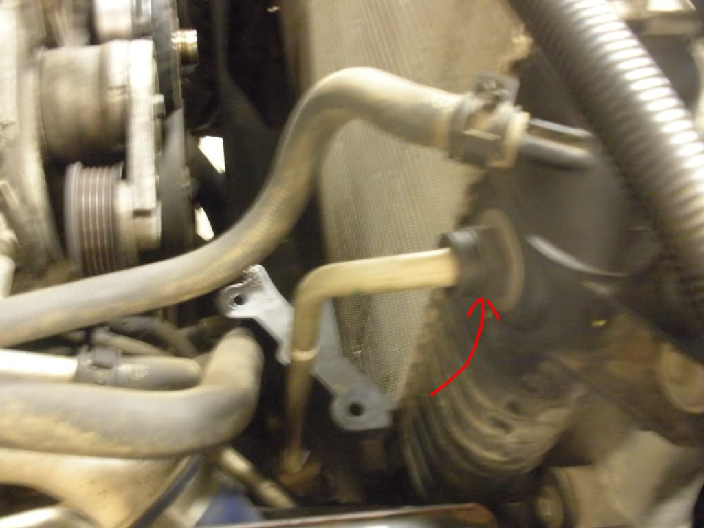 Name: DSCN1282.jpg
Views: 4568
Size: 69.7 KB