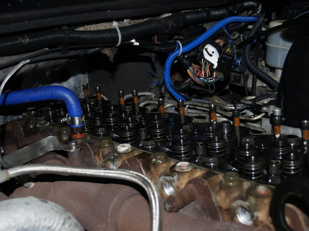 Name:  _1013185.jpg
Views: 523
Size:  143.4 KB