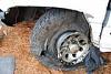 Lets Paint Some Wheels!!!-th_008.jpg