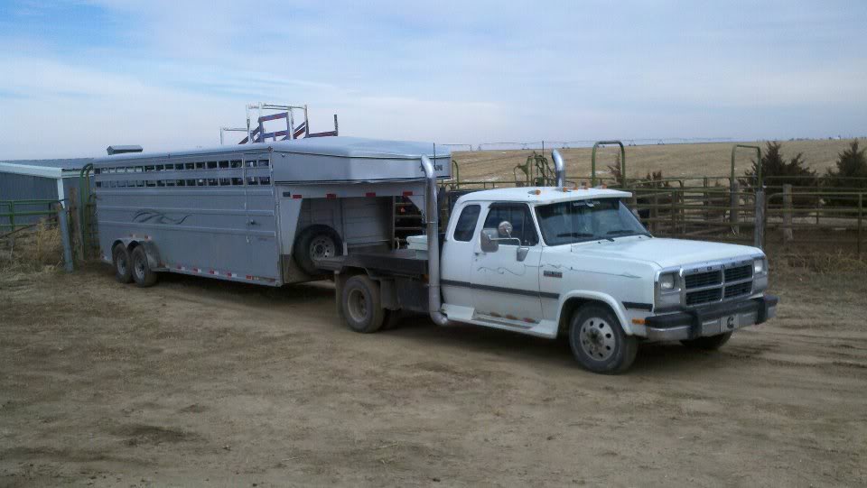 Name:  Pickupwithcattletrailer2.jpg
Views: 230
Size:  63.9 KB