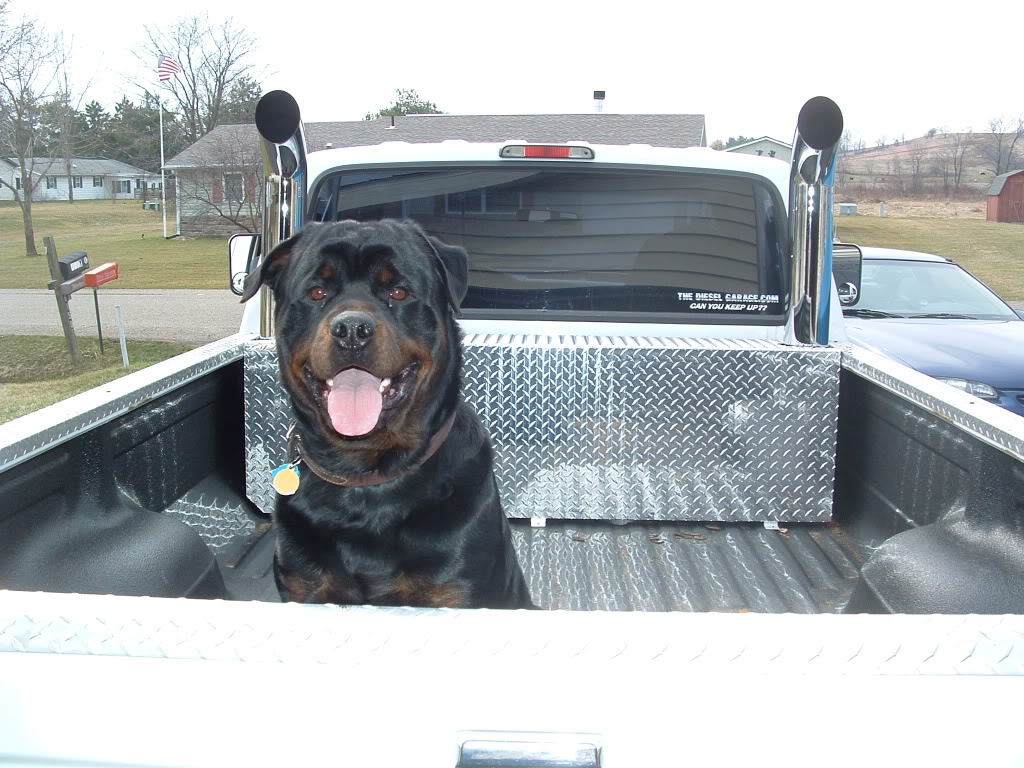 Name:  DSCF0137.jpg
Views: 139
Size:  180.7 KB