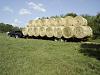 Pics Of Trucks And Trailer-trucks-008.jpg