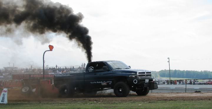 Name:  numidia2010.jpg
Views: 218
Size:  33.5 KB