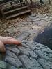 Looking For tires in rims for 99 f 350-nittos-015.jpg
