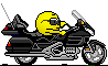 wingrider's Avatar
